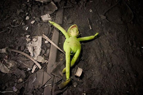 kermit
