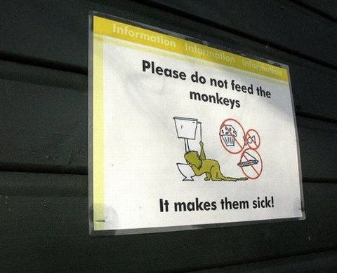 daily_picdump_296_22