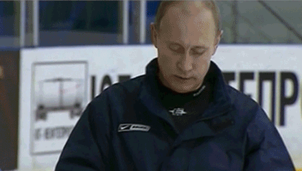 svada-putin.gif