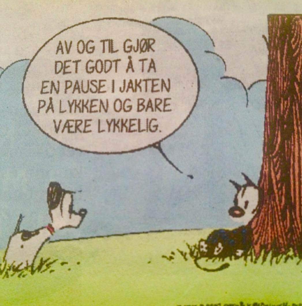 Dagens visdomsord - Svada.no